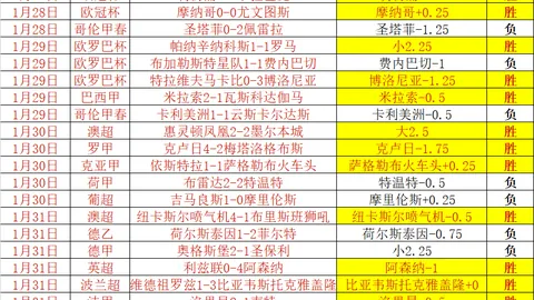 贝林厄姆：小步前行，两度挫折，再启征程